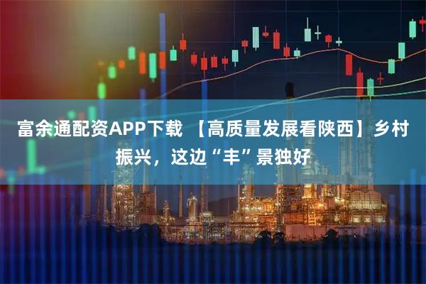 富余通配资APP下载 【高质量发展看陕西】乡村振兴，这边“丰”景独好