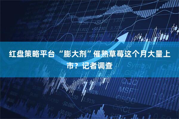 红盘策略平台 “膨大剂”催熟草莓这个月大量上市?记者调查