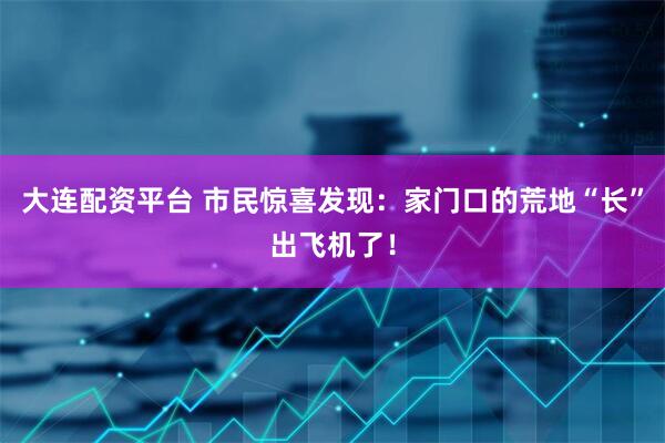 大连配资平台 市民惊喜发现：家门口的荒地“长”出飞机了！